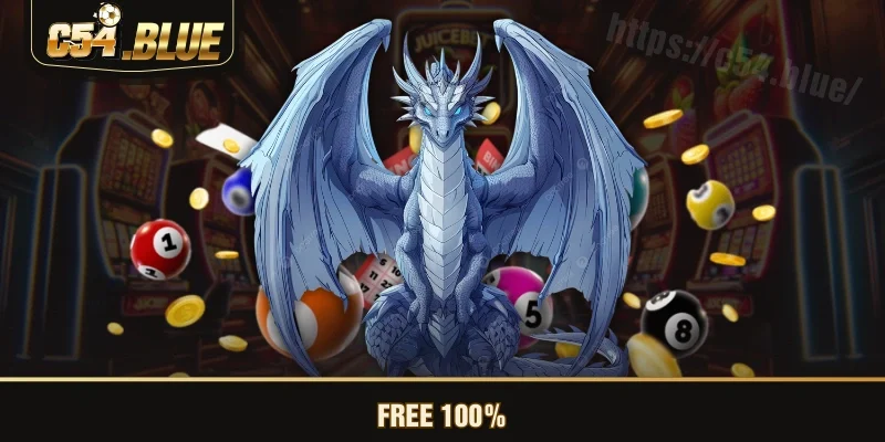 Free 100% Free 100%