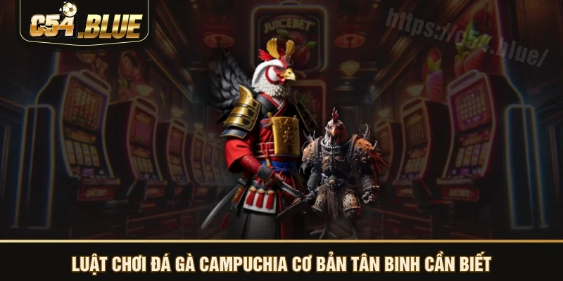 Luật chơi đá gà Campuchia cơ bản tân binh cần biết Luật chơi đá gà Campuchia cơ bản tân binh cần biết