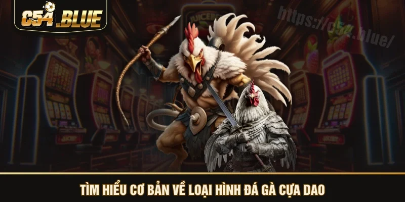 Tìm hiểu cơ bản về loại hình đá gà cựa dao Tìm hiểu cơ bản về loại hình đá gà cựa dao
